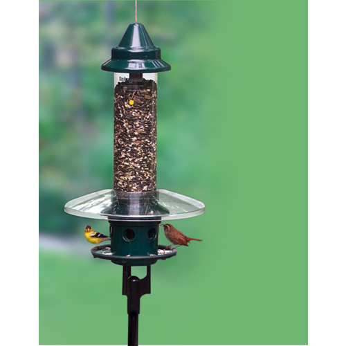 Brome Bird Care Squirrel Buster Plus Pole Adapter