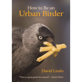 HOW TO BE AN URBAN BIRDER