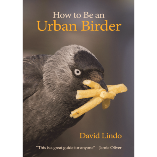 HOW TO BE AN URBAN BIRDER-CLEARANCE