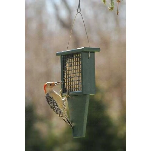 TAIL PROP SUET FEEDER - RECYCLED PLASTIC