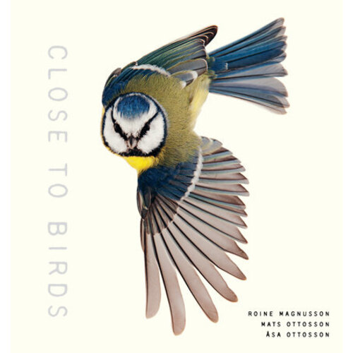 Close To Birds - CLEARANCE