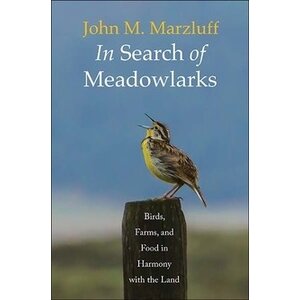 In Search of Meadowlarks