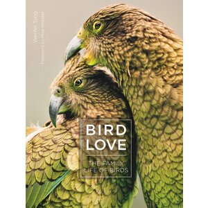 Bird Love: The Family Life of Birds