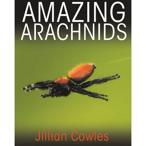 Amazing Arachnids-clearance