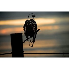 METALBIRD - Bald Eagle