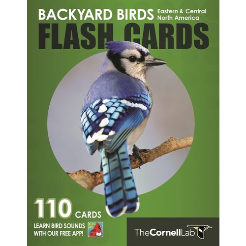 Backyard Birds Flash Cards East