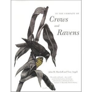 IN THE COMPANY OF CROWS AND RAVENS - PB