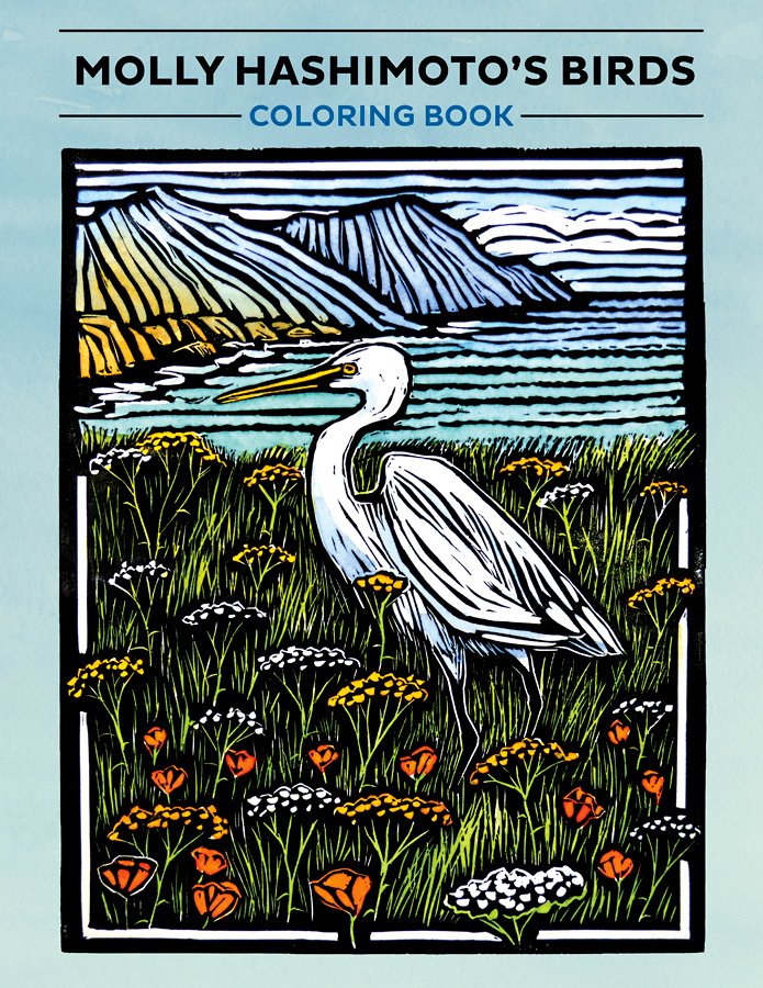 Download Molly Hashimoto Birds Coloring Book Seattle Audubon Nature Shop