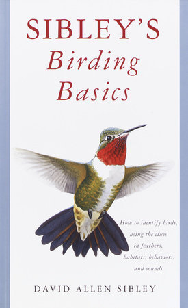 the sibley guide to bird life & behavior the sibley guide to bird life & behavior
