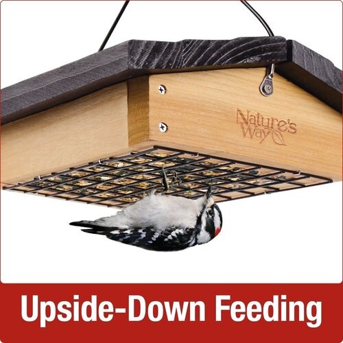 Nature's Way UPSIDE-DOWN SUET FEEDER, CEDAR