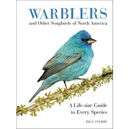 WARBLERS & OTHER SONGBIRDS OF NA-clearance