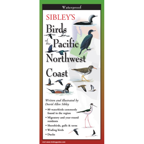 sibley BIRDS OF PACIFIC NW COAST