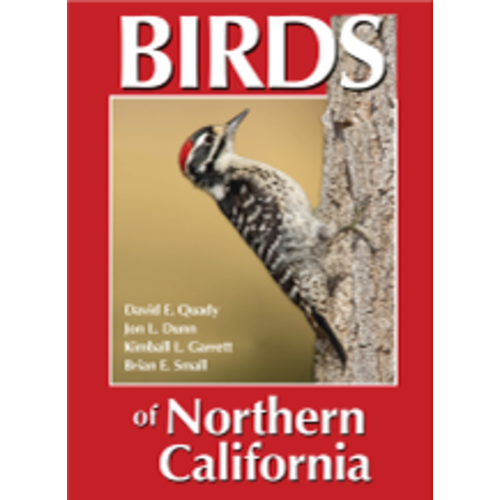 BIRDS OF NORTHERN CALIFORNIA