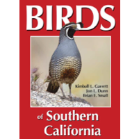 BIRDS OF SOUTHERN CALIFORNIA