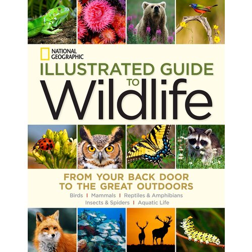 National Geographic ILLUSTRATED GUIDE TO WILDLIFE