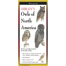 SIBLEY OWLS OF NA FOLDING