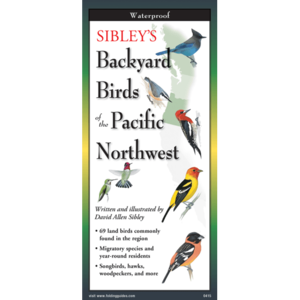 SIBLEY'S BACKYARD BIRDS OF PACIFIC NORTHWEST