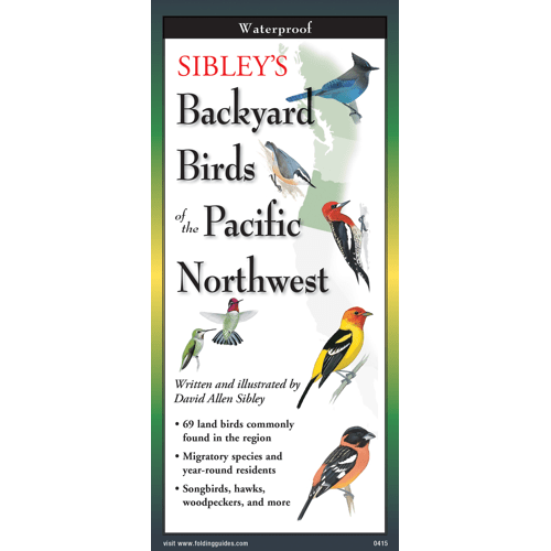 sibley BACKYARD BIRDS OF PACIFIC NORTHWEST