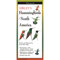 HUMMINGBIRDS OF NORTH AMERICA