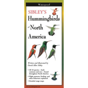 SIBLEY'S HUMMINGBIRDS OF NORTH AMERICA