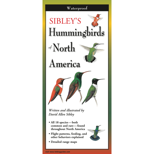 sibley HUMMINGBIRDS OF NORTH AMERICA