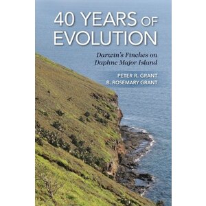 40 YEARS OF EVOLUTION - CLEARANCE