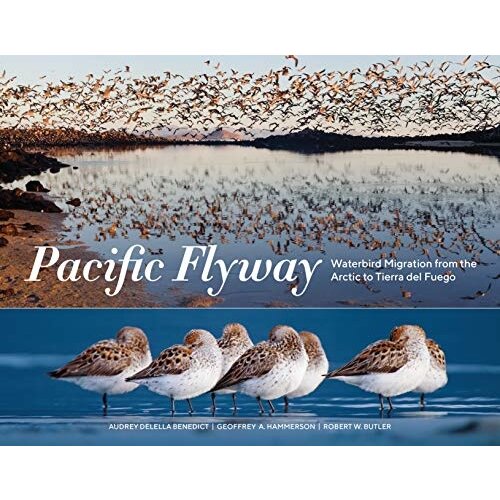 Pacific Flyway: Waterbird Migration from the Arctic to Tierra del Fuego