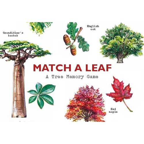 Match a Leaf: Matching Game