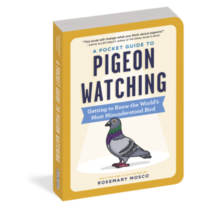 Pocket Guide to Pigeon Watching