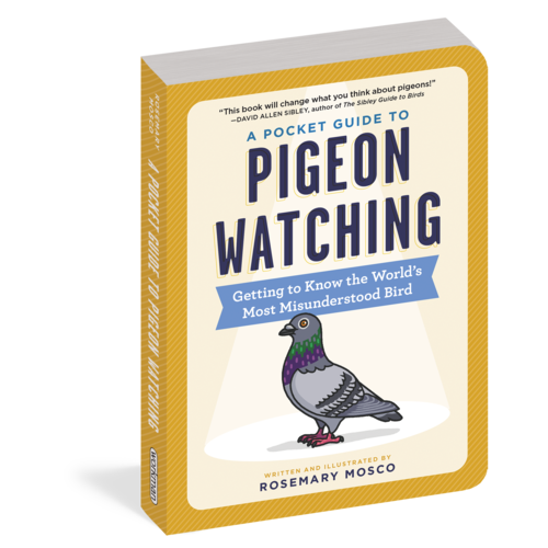 Pocket Guide to Pigeon Watching