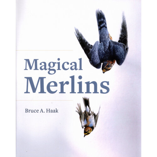 Magical Merlins