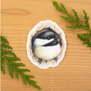 laurel mundy Chickadee in Cavity sticker