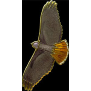 WM. SPEAR RED-TAILED HAWK PIN