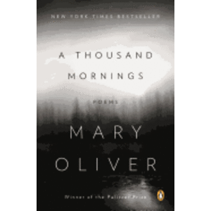 A THOUSAND MORNINGS, PB