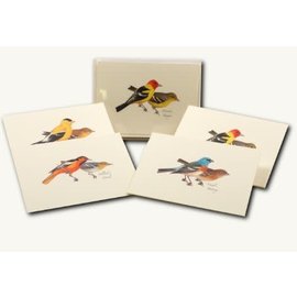 EARTH SKY + WATER PETERSON BIRD ASSORTMENT BOXED CARDS