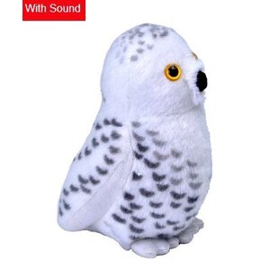SONG BIRD: SNOWY OWL