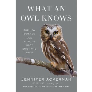 What An Owl Knows