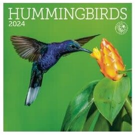 2024 HUMMINGBIRDS MINI WALL CALENDAR