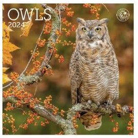 2024 OWLS  MINI WALL CALENDAR