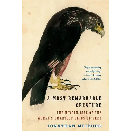 A Most Remarkable Creature: The Hidden Life of the World's Smartest Birds of Prey