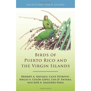 Birds of Puerto Rico & the Virgin Islands