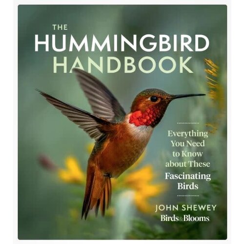 The Hummingbird Handbook: Everything You Need to Know About These Fascinating Birds