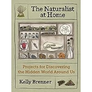Naturalist at Home: Projects for Discovering the Hidden World Around Us