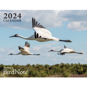 2024 Birds of BirdNote Wall Calendar