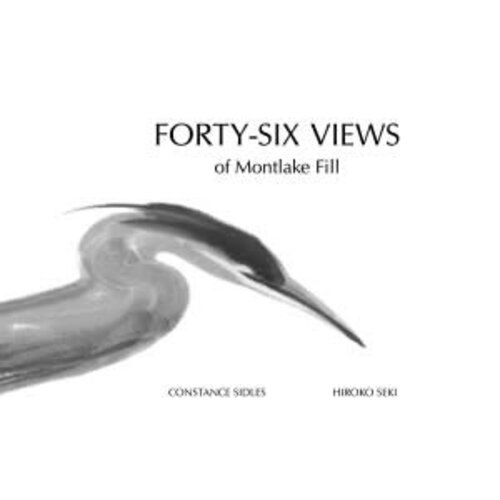 FORTY-SIX VIEWS OF MONTLAKE FILL