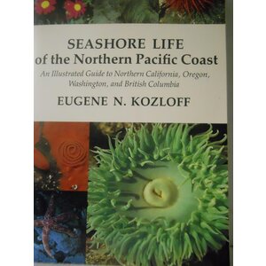 SEASHORE LIFE OF THE NORTH PACIFIC COAST