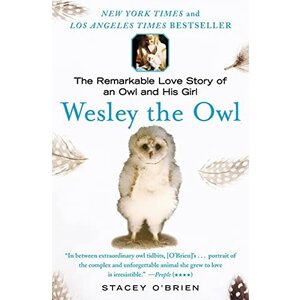 WESLEY THE OWL
