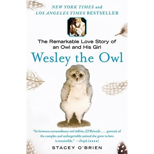 WESLEY THE OWL