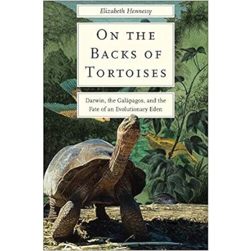 On the Backs of Tortoises