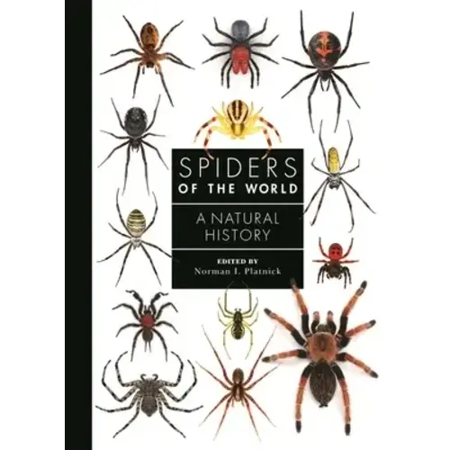 Spiders of the World-clearance